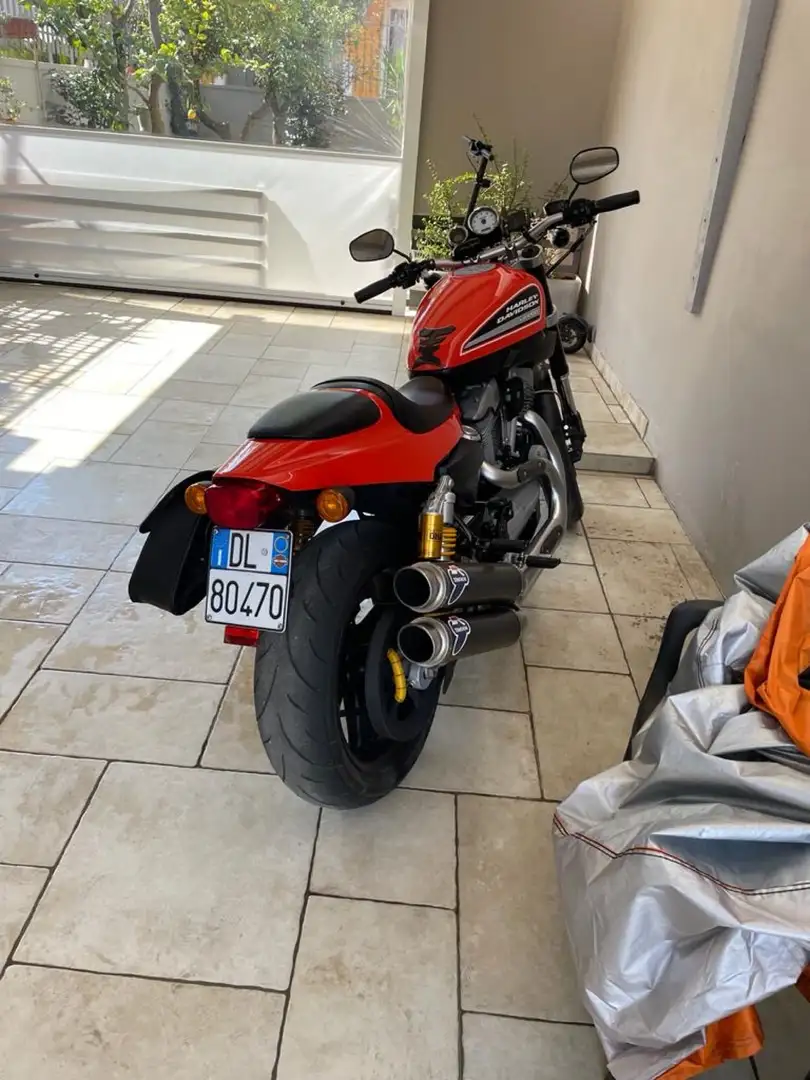 Harley-Davidson XR 1200 Oranje - 2