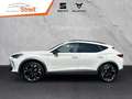 CUPRA Formentor 2.0 TDI 4Drive 110 kW 7-Gang DSG AHK-klappbar Navi Weiß - thumbnail 2