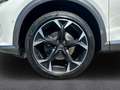 CUPRA Formentor 2.0 TDI 4Drive 110 kW 7-Gang DSG AHK-klappbar Navi Weiß - thumbnail 8