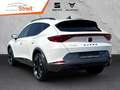 CUPRA Formentor 2.0 TDI 4Drive 110 kW 7-Gang DSG AHK-klappbar Navi Weiß - thumbnail 3