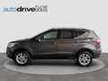 Ford Kuga 1.5 Eco Boost Titanium Facelift Grau - thumbnail 3