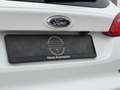 Ford Focus Turnier 1.0 125PS(TÜV*KLIMAAT.*CAM*NAVI*) Weiß - thumbnail 21