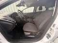 Ford Focus Turnier 1.0 125PS(TÜV*KLIMAAT.*CAM*NAVI*) Weiß - thumbnail 15