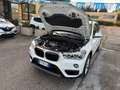 BMW X1 " PERFETTA " X1 xdrive18d Business auto - thumbnail 15