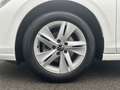 Volkswagen Golf VIII 1.5 TSI LIFE*LED*AHK*DIGITAL*NAVI*PDC* Wit - thumbnail 6