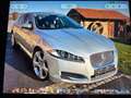 Jaguar XF XF 3,0 Diesel Grau - thumbnail 1