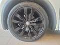 Volkswagen Tiguan Sky TDI SCR 4MOTION DSG Weiß - thumbnail 9