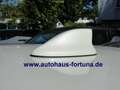 Nissan Leaf Tekna e+ 62 kwh Leder Bose LED Winterpaket Bianco - thumbnail 4