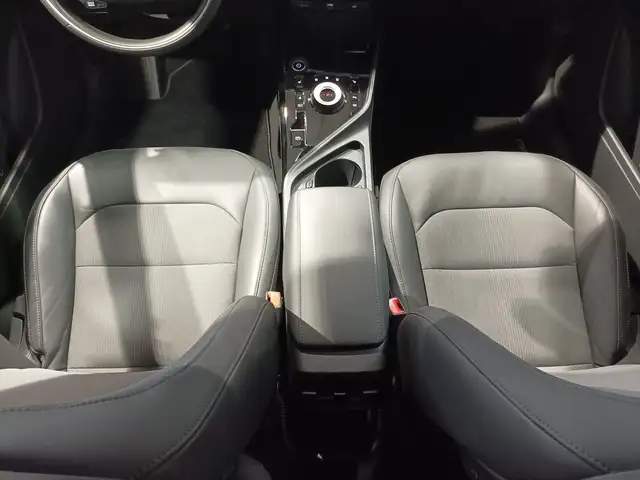 Kia E-Niro view 14