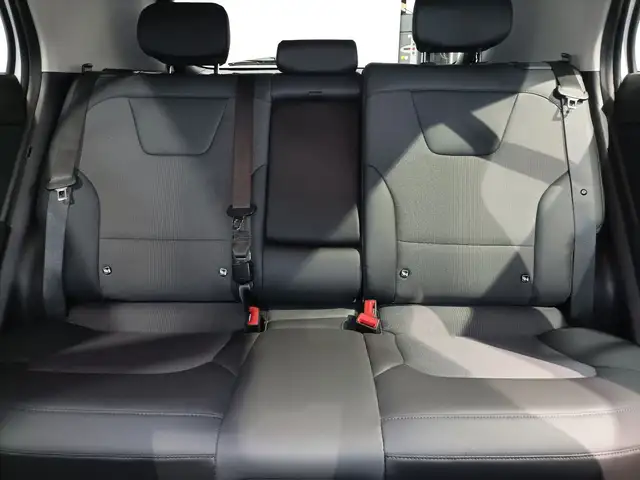 Kia E-Niro view 15