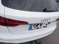 Audi A4 Avant S line 35 TDI 120kW S tronic Blanco - thumbnail 11