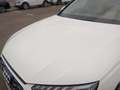 Audi A4 Avant S line 35 TDI 120kW S tronic Blanco - thumbnail 17