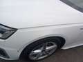 Audi A4 Avant S line 35 TDI 120kW S tronic Blanco - thumbnail 16