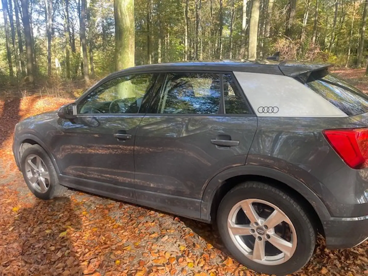Audi Q2 Q2+1.0+TFSI+Sport Grijs - 1