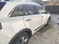 Kia Niro Niro 1,6 GDI GPF Hybrid Gold DCT Aut. Gold Weiß - thumbnail 9