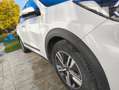 Kia Niro Niro 1,6 GDI GPF Hybrid Gold DCT Aut. Gold Weiß - thumbnail 5