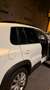 Volkswagen Tiguan Tiguan 2.0TDI BMT T1 4x2 110 T1 Blanco - thumbnail 30