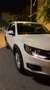 Volkswagen Tiguan Tiguan 2.0TDI BMT T1 4x2 110 T1 Blanco - thumbnail 25