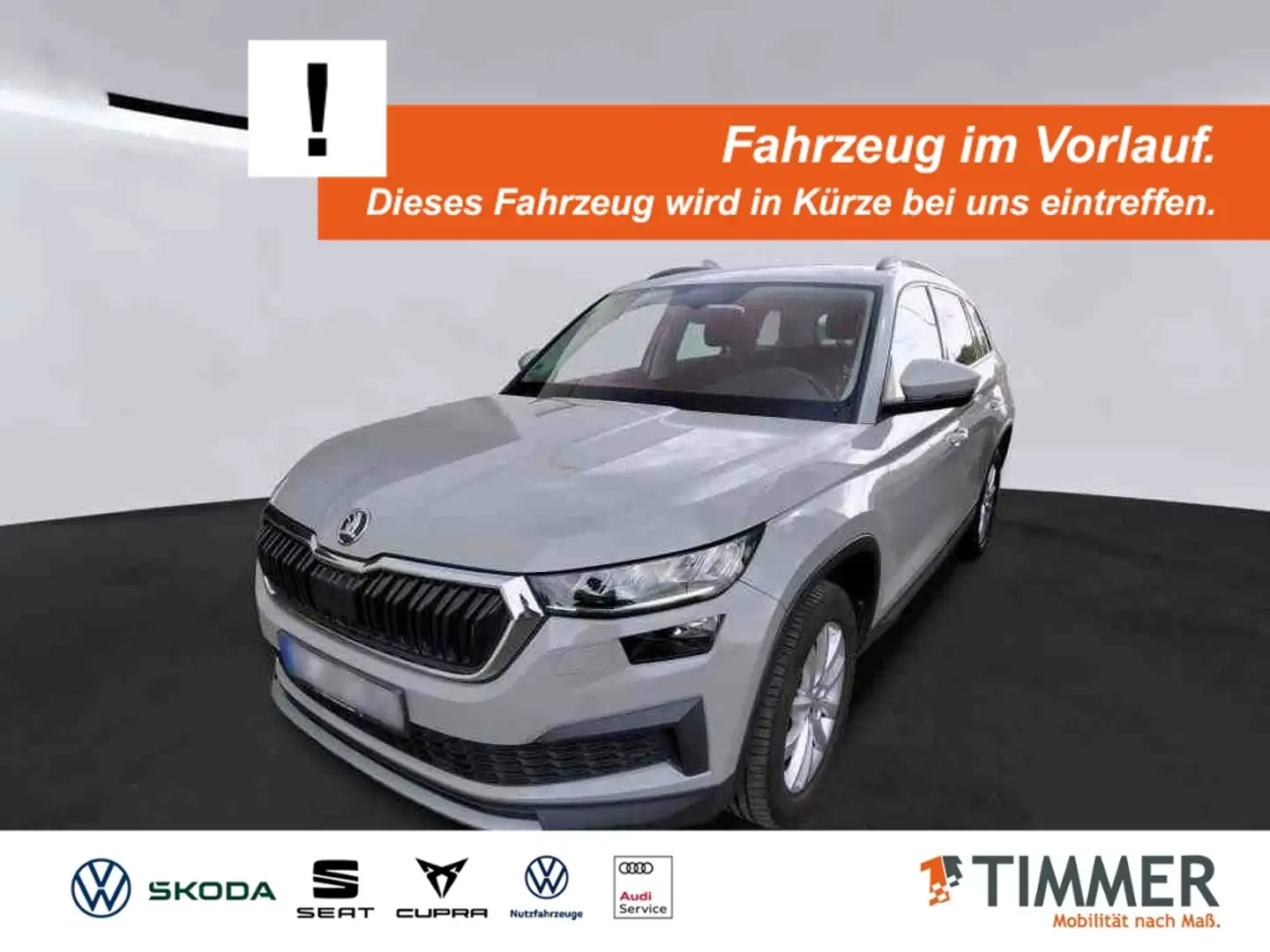 Skoda Kodiaq 2.0 TDI DSG +AHK +LED +STHZ +RKAM +VIRTUAL +NAVI Grau - 1