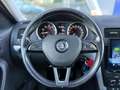Skoda Yeti Outdoor 1.2 TSI Ambition Panoramadak / Cruise Cont Gris - thumbnail 39