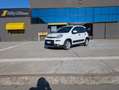 Fiat Panda 1.0 Firefly Hybrid City Life S&S 5 POSTI Blanc - thumbnail 19