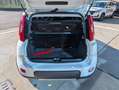 Fiat Panda 1.0 Firefly Hybrid City Life S&S 5 POSTI Blanc - thumbnail 7