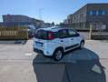 Fiat Panda 1.0 Firefly Hybrid City Life S&S 5 POSTI Blanc - thumbnail 5