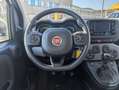 Fiat Panda 1.0 Firefly Hybrid City Life S&S 5 POSTI Blanc - thumbnail 11