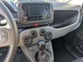 Fiat Panda 1.0 Firefly Hybrid City Life S&S 5 POSTI Blanc - thumbnail 27
