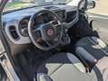 Fiat Panda 1.0 Firefly Hybrid City Life S&S 5 POSTI Blanc - thumbnail 20