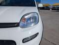Fiat Panda 1.0 Firefly Hybrid City Life S&S 5 POSTI Blanc - thumbnail 9
