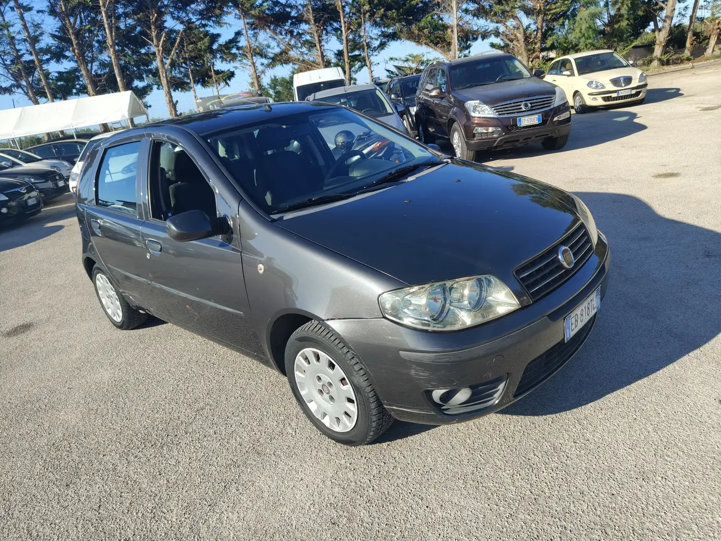 Fiat Punto 5p 1.2 Active Gpl - 1