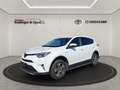 Toyota RAV 4 Blanc - thumbnail 2