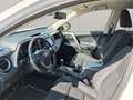 Toyota RAV 4 Blanc - thumbnail 10