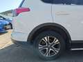 Toyota RAV 4 Blanc - thumbnail 23
