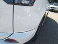 Toyota RAV 4 Blanc - thumbnail 32