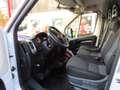 Fiat Ducato FRIGO L2H2     21500€ HTVA Blanc - thumbnail 11