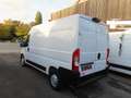 Fiat Ducato FRIGO L2H2     21500€ HTVA Blanc - thumbnail 4