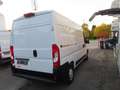 Fiat Ducato FRIGO L2H2     21500€ HTVA Blanc - thumbnail 6