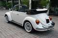 Volkswagen Інші Maggiolone 1.300 CABRIO Білий - thumbnail 8