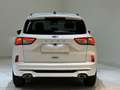 Ford Kuga 2.0 EcoBlue 120 CV aut. 2WD ST-Line Bianco - thumbnail 4