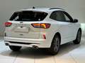 Ford Kuga 2.0 EcoBlue 120 CV aut. 2WD ST-Line Bianco - thumbnail 5