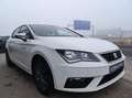 SEAT Leon 5p 1.5 TGI 96 kW (130 CV) Start&Stop Reference Edi Bianco - thumbnail 3