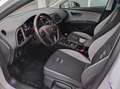 SEAT Leon 5p 1.5 TGI 96 kW (130 CV) Start&Stop Reference Edi Blanc - thumbnail 17