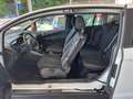 Ford B-Max B-Max 1.0 ecoboost Business 100cv E6 Blanc - thumbnail 16