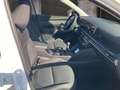 Hyundai TUCSON NX4 Jubile 1,6 T-GDi 2WD 48V t5bj1 Weiß - thumbnail 6