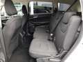 Ford S-Max TITANIUM 2.0 TDCi Aut *LED ADAPTIV / NAVI / ACC / VERKEHRZEICHEN & SPURHALTEASSIST / E-KLAPPE* Weiß - thumbnail 11