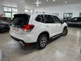 Subaru Forester 2.0i Hybrid Executive Plus CVT Blanco - thumbnail 6