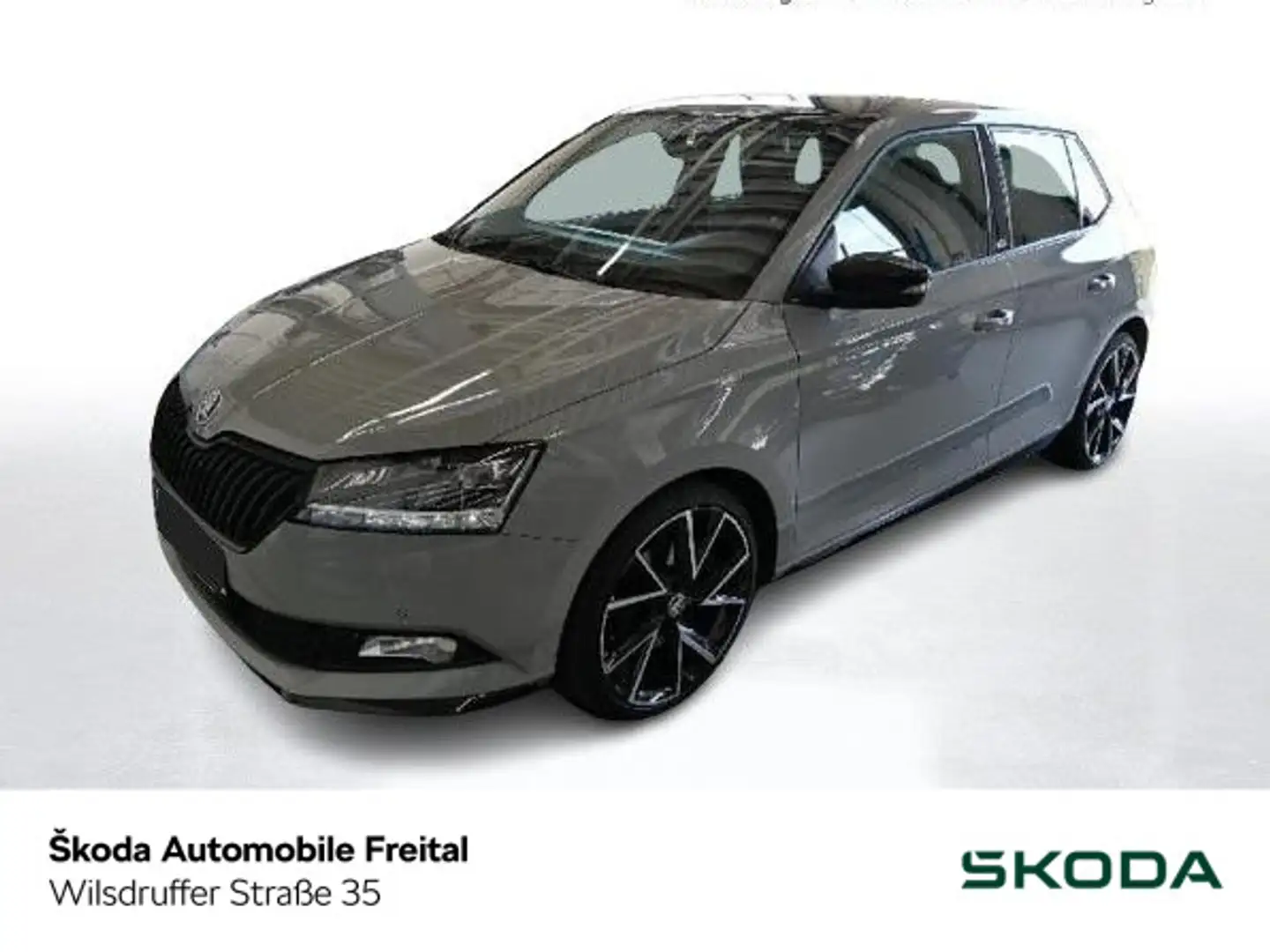 Skoda Fabia Monte Carlo Grijs - 1