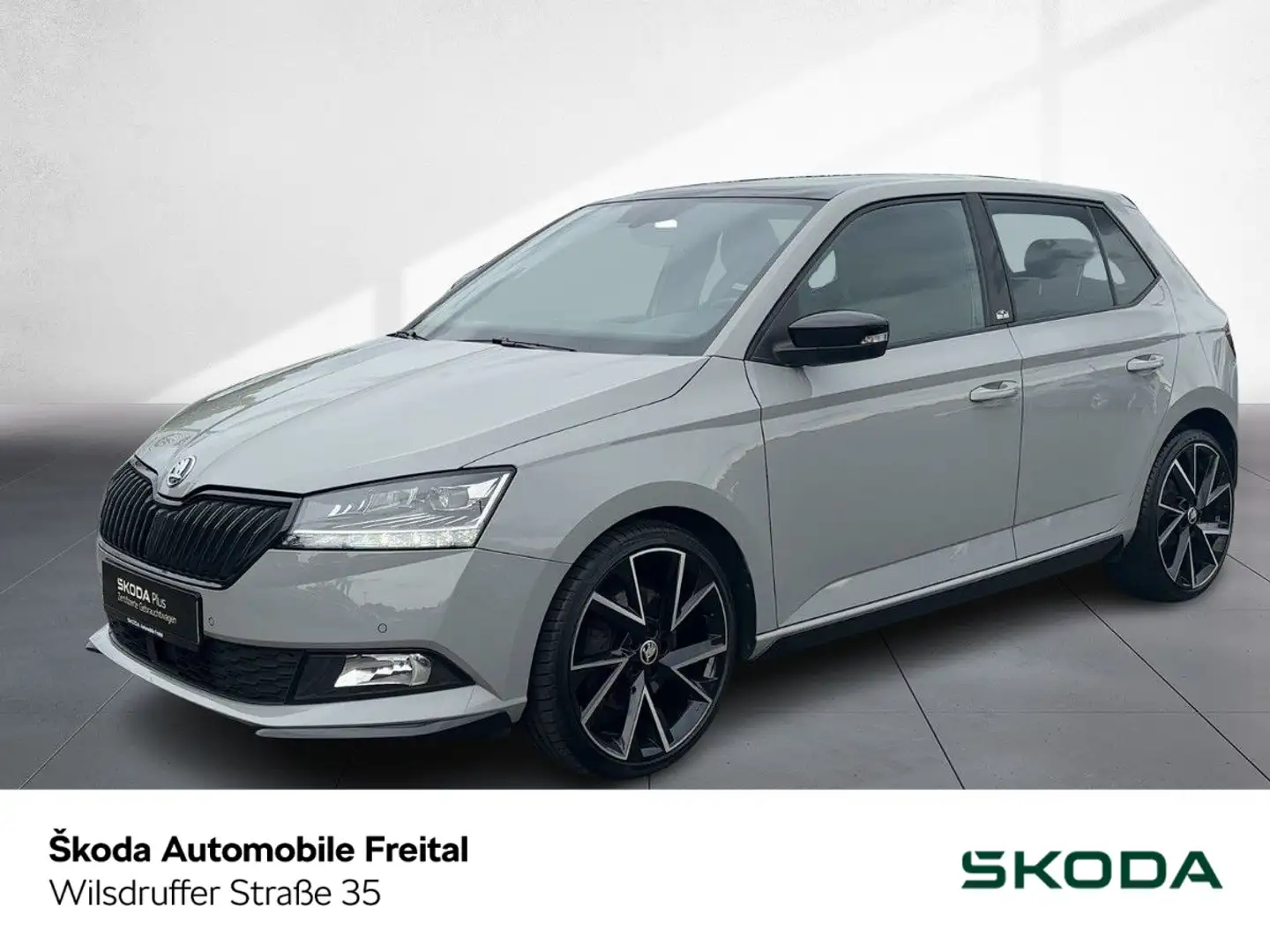 Skoda Fabia Monte Carlo Grau - 1